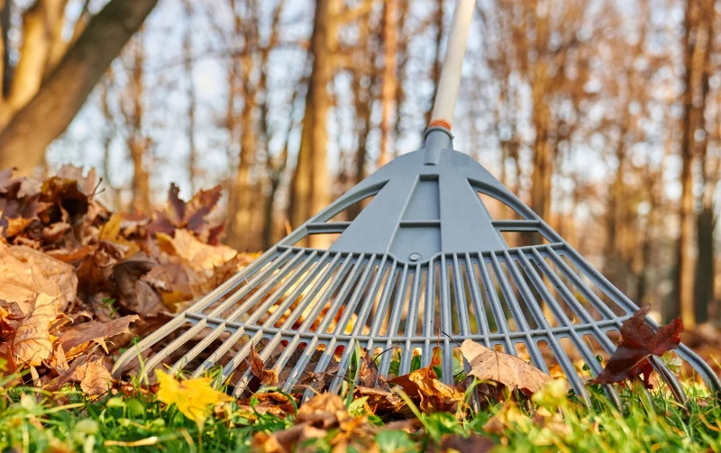Sezona a Péče We offer a professional solution for removing undergrowth, mowing tall grass and removing waste so that your garden or backyard area becomes a well-groomed and safe place to relax.